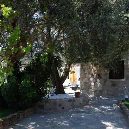 Hotel Stone House W Private Pool And Garden In Bodrum Ortakent